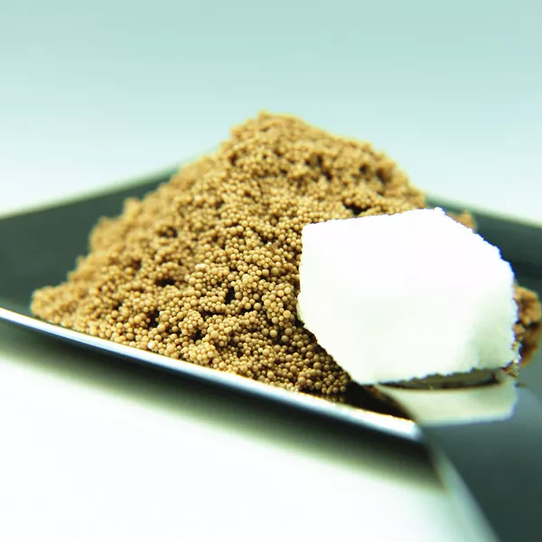 sugar decolorization adsorbent resin
