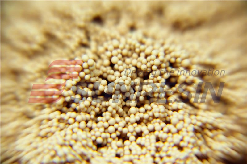 chelating resin 1588906313